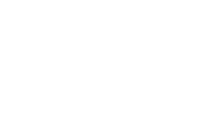 A1 Carpet Cleaning