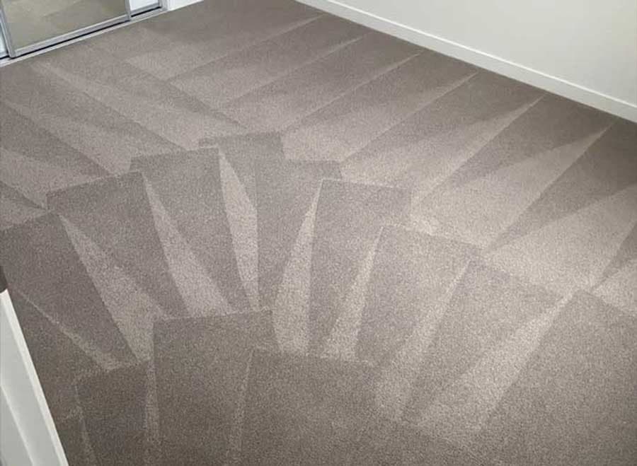 Freshly steam-cleaned bedroom carpet with clean wand lines